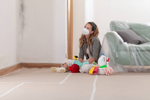 Reliable Mold Remediation contractor in Auburn, KY by WQB Mold Removal